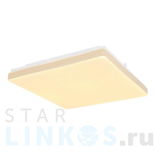 Купить Потолочный светодиодный светильник Globo Raina 48296W за 11 620 руб. в Туле Купить с доставкой Потолочный светодиодный светильник Globo Raina 48296W в Туле