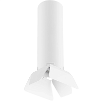 Купить Потолочный светильник Lightstar Rullo (214496+202436) R496436 в Туле