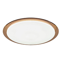 Купить Потолочный светодиодный светильник ЭРА SPB-6-70-RC Saturn (B) Б0036368 в Туле