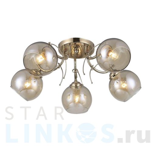 Купить с доставкой Потолочная люстра Ritter Catania 52542 4 в Туле