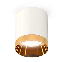 Купить Комплект потолочного светильника Ambrella light Techno Spot XC (C6301, N6134) XS6301024 в Туле