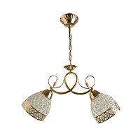 Купить Подвесной светильник Hiper Zolla H173-2 в Туле