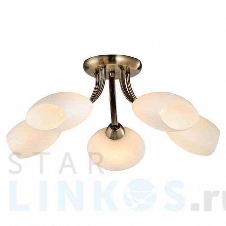 Купить Потолочная люстра Lussole Lgo GRLSP-0189 за 8 957 руб. в Туле фото 2 Купить с доставкой Потолочная люстра Lussole Lgo GRLSP-0189 в Туле фото 2