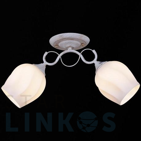 Купить Потолочный светильник Reluce 31379-0.3-02 за 1 540 руб. в Туле фото 2 Купить с доставкой Потолочный светильник Reluce 31379-0.3-02 в Туле фото 2