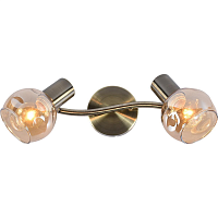 Купить Спот Reluce 05972-0.8-02 AB в Туле