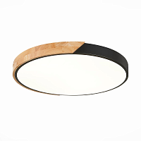 Купить Потолочный светодиодный светильник Evoluce Festa SLE200942-01 в Туле