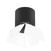 Купить Потолочный светильник Lightstar Rullo (213487+202486) R3487486 в Туле