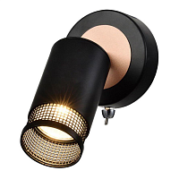 Купить Спот Rivoli Lili 7020-701 Б0051226 в Туле