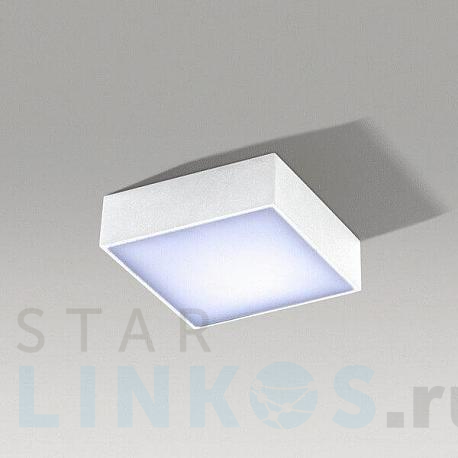 Купить Накладной светильник Azzardo Falco 12 3000K AZ2780 за 7 850 руб. в Туле фото 2 Купить с доставкой Накладной светильник Azzardo Falco 12 3000K AZ2780 в Туле фото 2