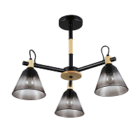 Купить Потолочная люстра Rivoli Elmira 9117-303 Б0053431 в Туле