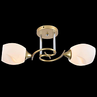 Купить Потолочный светильник Reluce 01252-0.3-02 GD+CR в Туле