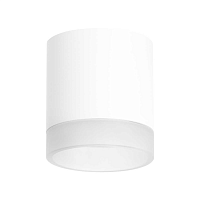 Купить Потолочный светильник Lightstar Rullo (213486+202480) R348680 в Туле