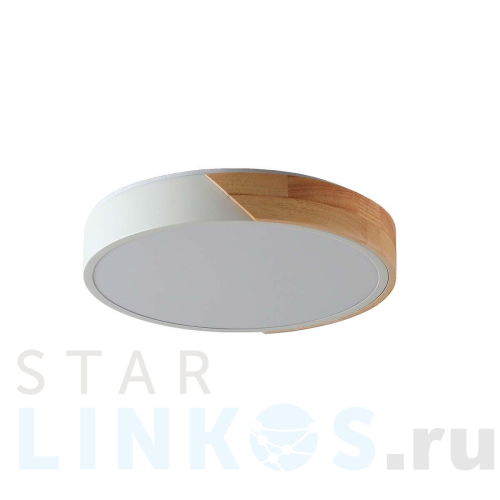 Купить с доставкой Потолочный светильник Zortes ALBERRO ZRS.01289.48 в Туле