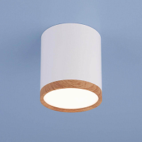 Купить Потолочный светодиодный светильник Elektrostandard DLR024 6W 4200K белый матовый a040548 в Туле