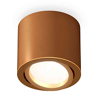 Купить Комплект накладного светильника Ambrella light Techno Spot XS7404001 SCF/PYG кофе песок/золото желтое полированное (C7404, N7004) в Туле