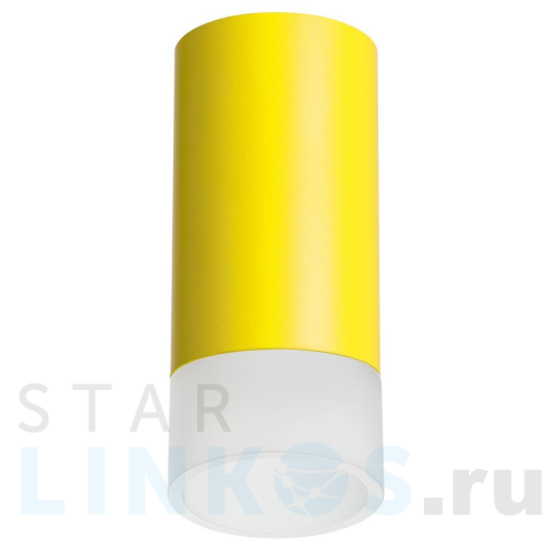 Купить с доставкой Потолочный светильник Lightstar Rullo (214433+202431) R43331 в Туле