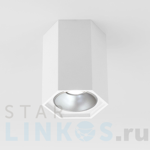 Купить с доставкой Потолочный светодиодный светильник Elektrostandard 25036/Led a055856 в Туле