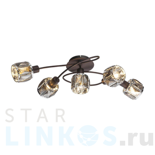 Купить Потолочная люстра Globo Indiana 54357-5 за 28 690 руб. в Туле Купить с доставкой Потолочная люстра Globo Indiana 54357-5 в Туле