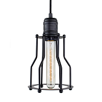 Купить Подвесной светильник Citilux Эдисон CL450201 в Туле