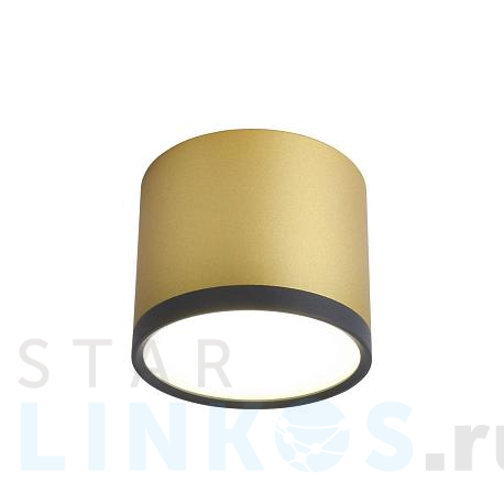 Купить Потолочный светильник Favourite Baral 3082-2C за 2 300 руб. в Туле фото 2 Купить с доставкой Потолочный светильник Favourite Baral 3082-2C в Туле фото 2