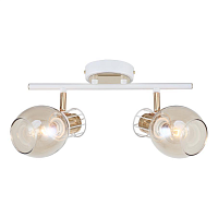 Купить Спот Escada 1137/2A в Туле