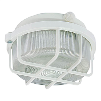Купить Настенно-потолочный светильник TDM Electric НПП 03-100-005.04 SQ0311-0001 в Туле