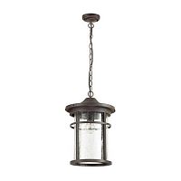 Купить Уличный подвесной светильник Odeon Light Nature Virta 4044/1 в Туле