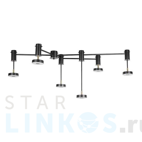 Купить Потолочный светильник LOFT IT Flock 10189/1200 за 32 200 руб. в Туле фото 2 Купить с доставкой Потолочный светильник LOFT IT Flock 10189/1200 в Туле фото 2