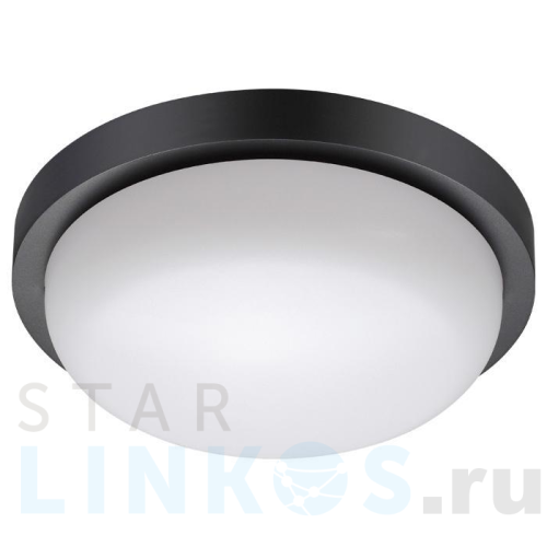 Купить Уличный светодиодный светильник Novotech Street Opal 358017 за 3 180 руб. в Туле Купить с доставкой Уличный светодиодный светильник Novotech Street Opal 358017 в Туле