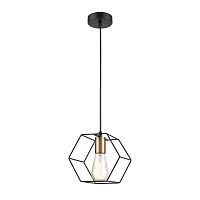 Купить Подвесной светильник Vele Luce Luca VL6232P01 в Туле