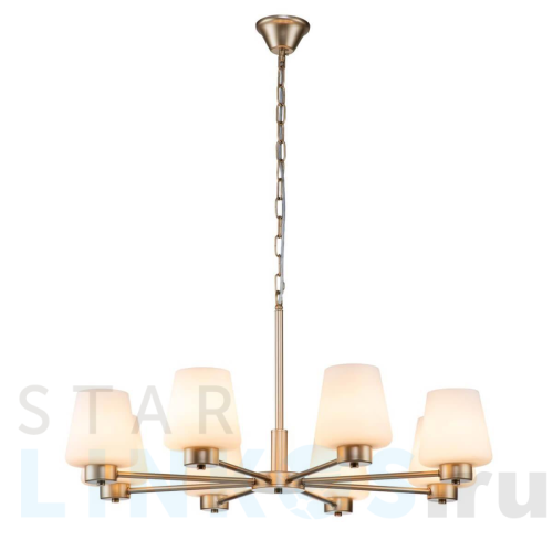 Купить Подвесная люстра Indigo Tulip 13004/8P Gold V000002 за 29 580 руб. в Туле Купить с доставкой Подвесная люстра Indigo Tulip 13004/8P Gold V000002 в Туле