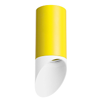 Купить Потолочный светильник Lightstar Rullo (214433+201436) R43336 в Туле