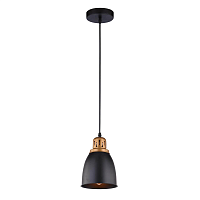 Купить Подвесной светильник Arte Lamp Eurica A4248SP-1BK в Туле