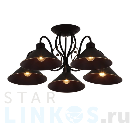 Купить Потолочная люстра Evoluce Ciolla SLE120402-05 за 8 380 руб. в Туле Купить с доставкой Потолочная люстра Evoluce Ciolla SLE120402-05 в Туле