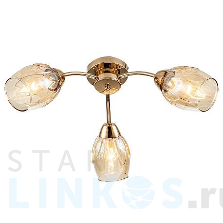 Купить Потолочная люстра Escada Allium 663/3P за 4 600 руб. в Туле фото 2 Купить с доставкой Потолочная люстра Escada Allium 663/3P в Туле фото 2