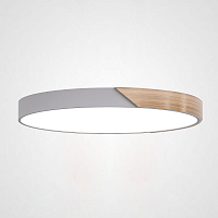 Купить Потолочный светодиодный светильник Imperium Loft Clip 193053-26 в Туле