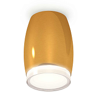 Купить Комплект потолочного светильника Ambrella light Techno Spot XC (C1125, N7160) XS1125021 в Туле