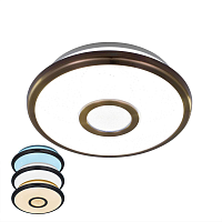 Купить Потолочный светодиодный светильник Citilux Старлайт CL703B13 в Туле