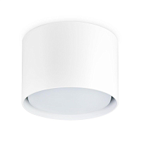 Купить Потолочный светильник Ambrella light Techno Spot TN5301 в Туле