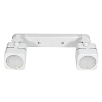 Купить Спот Fametto Sotto DLC-S613 GU10x2 White в Туле