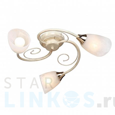 Купить Потолочная люстра Vitaluce V3663/3PL за 4 901 руб. в Туле фото 2 Купить с доставкой Потолочная люстра Vitaluce V3663/3PL в Туле фото 2