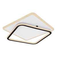 Купить Настенно-потолочный светодиодный светильник Globo Levana 48018-55 в Туле