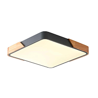 Купить Потолочный светильник Zortes ALBERRO ZRS.01288.48 в Туле