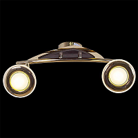 Купить Спот Reluce 00640-0.3-02DA FGD+WD в Туле