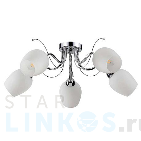 Купить Потолочная люстра Lumion Comfi Marcela 4594/5C за 4 800 руб. в Туле фото 2 Купить с доставкой Потолочная люстра Lumion Comfi Marcela 4594/5C в Туле фото 2