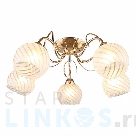 Купить Потолочная люстра Omnilux Grosotto OML-24907-05 за 8 130 руб. в Туле фото 2 Купить с доставкой Потолочная люстра Omnilux Grosotto OML-24907-05 в Туле фото 2