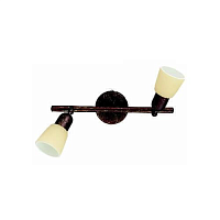 Купить Спот Citilux Ронда CL506524 в Туле