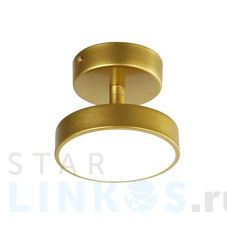 Купить Потолочный светильник F-Promo Atma 3059-1P за 5 500 руб. в Туле фото 2 Купить с доставкой Потолочный светильник F-Promo Atma 3059-1P в Туле фото 2