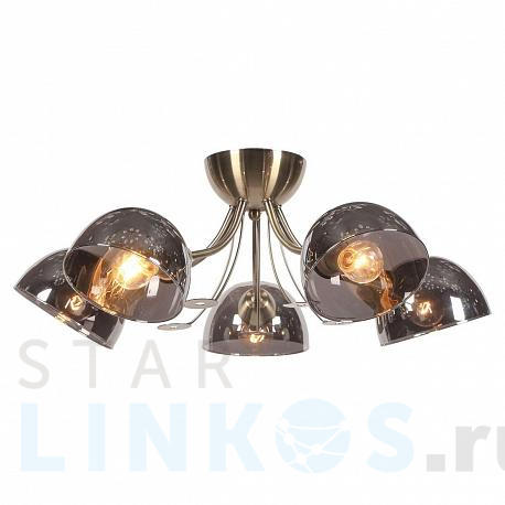 Купить Потолочная люстра Lussole Lgo Gresham LSP-8368 за 7 699 руб. в Туле фото 2 Купить с доставкой Потолочная люстра Lussole Lgo Gresham LSP-8368 в Туле фото 2