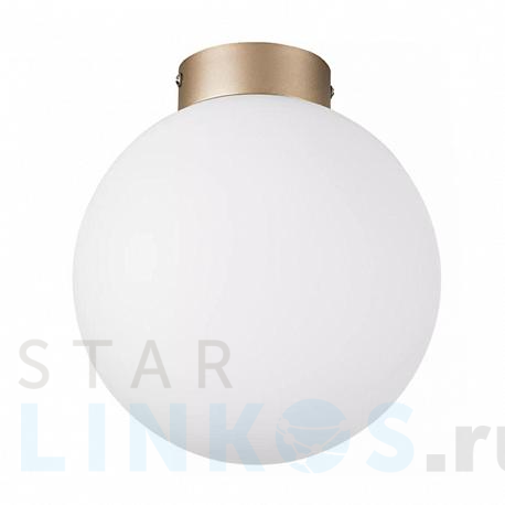 Купить Настенно-потолочный светильник Lightstar Globo 812023 за 6 294 руб. в Туле фото 2 Купить с доставкой Настенно-потолочный светильник Lightstar Globo 812023 в Туле фото 2